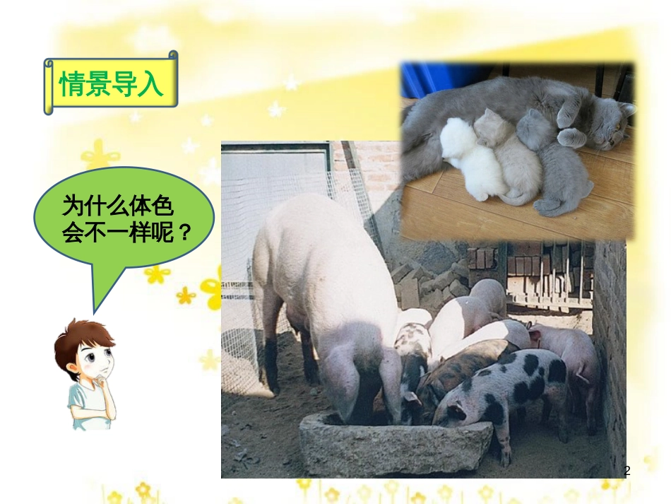 八年级生物下册 第六单元 第二章 第二节《变异》课件 （新版）冀教版_第2页