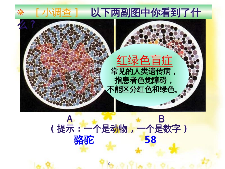 高中生物 5.2 染色体变异课件 新人教版必修2 (3)_第2页