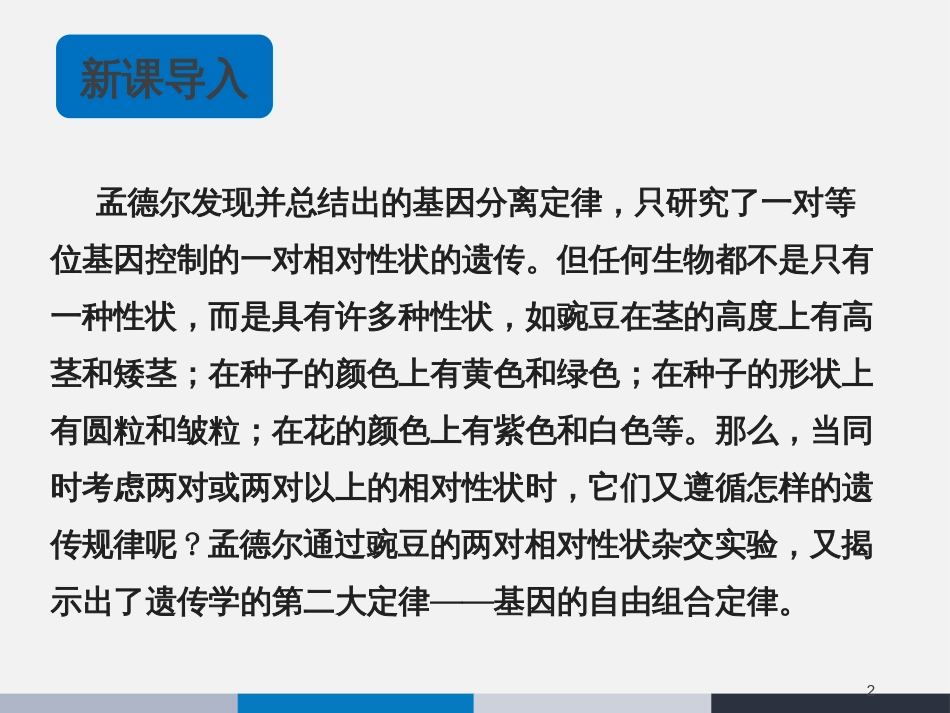 高中生物 第四章 4.2 基因的自由组合规律教学课件 北师大版必修2_第2页