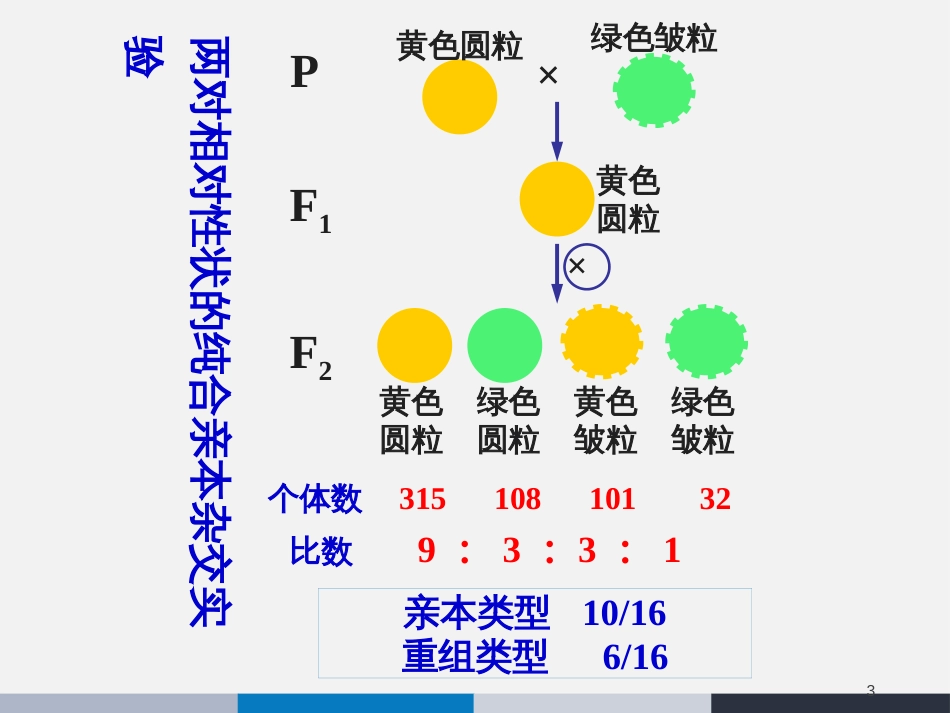 高中生物 第四章 4.2 基因的自由组合规律教学课件 北师大版必修2_第3页