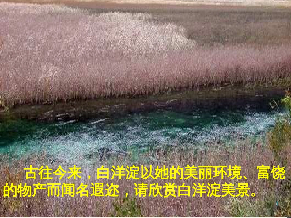 八年级物理上册 1.3《活动降落伞比赛》课件 （新版）教科版 (3032)_第1页