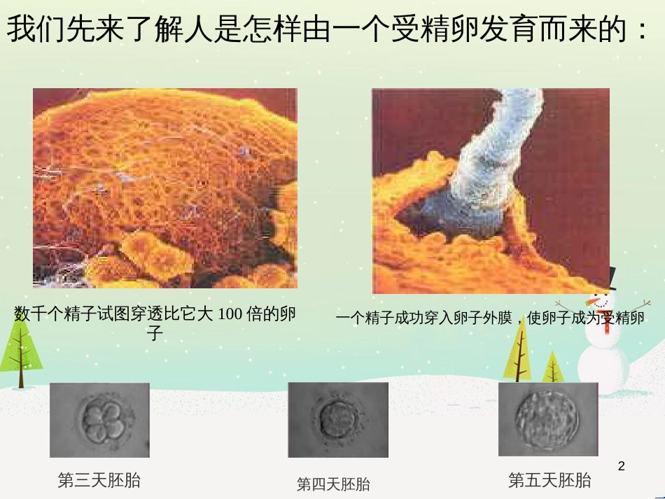 lddAAA七年级生物上册 2.2.2 动物体的结构层次课件 （新版）新人教版_第2页