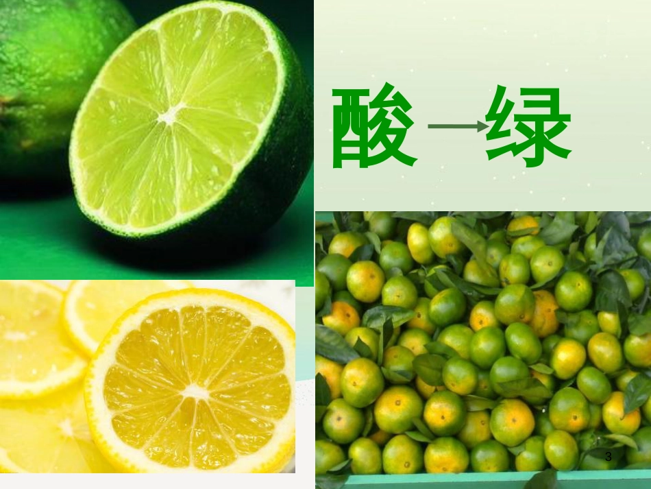 八年级生物下册 13.1 生物的分类课件1 北京版 (1262)_第3页