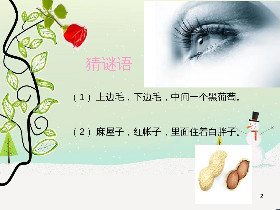 八年级生物下册 13.1 生物的分类课件1 北京版 (750)_第2页