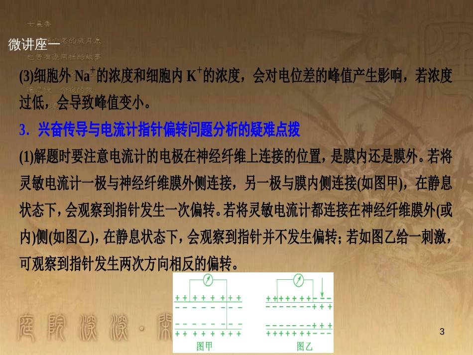 高考生物一轮复习 第八单元 生命活动的调节 第二讲 通过神经系统的调节课件 新人教版 (124)_第3页