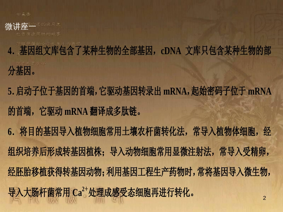 高考生物一轮复习 第八单元 生命活动的调节 第二讲 通过神经系统的调节课件 新人教版 (88)_第2页