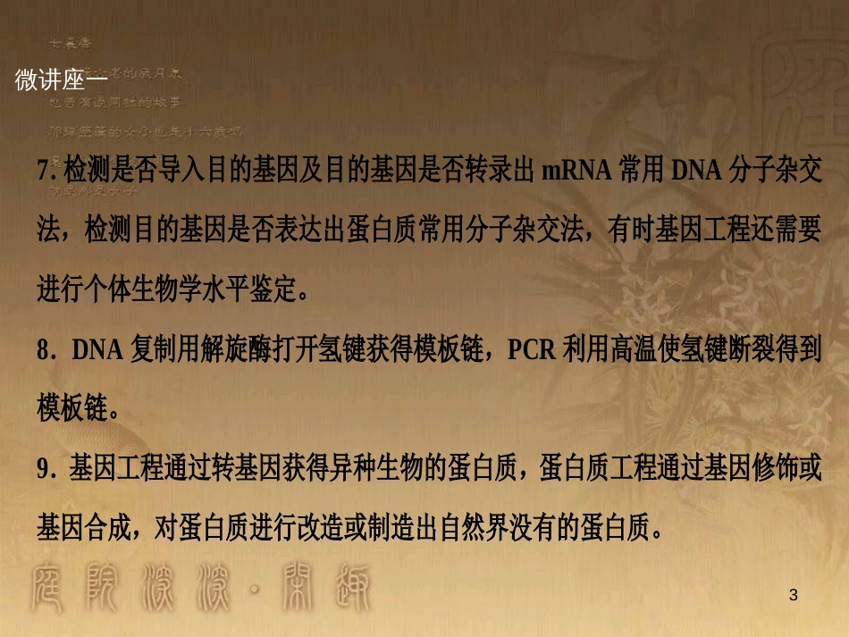 高考生物一轮复习 第八单元 生命活动的调节 第二讲 通过神经系统的调节课件 新人教版 (88)_第3页