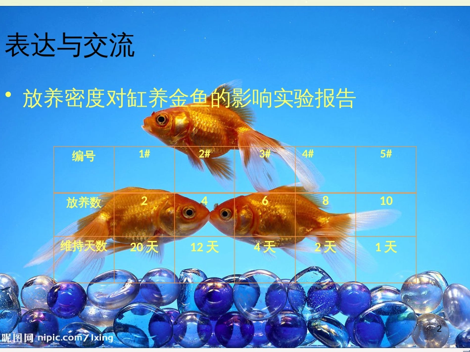 八年级生物下册 13.1 生物的分类课件1 北京版 (902)_第2页