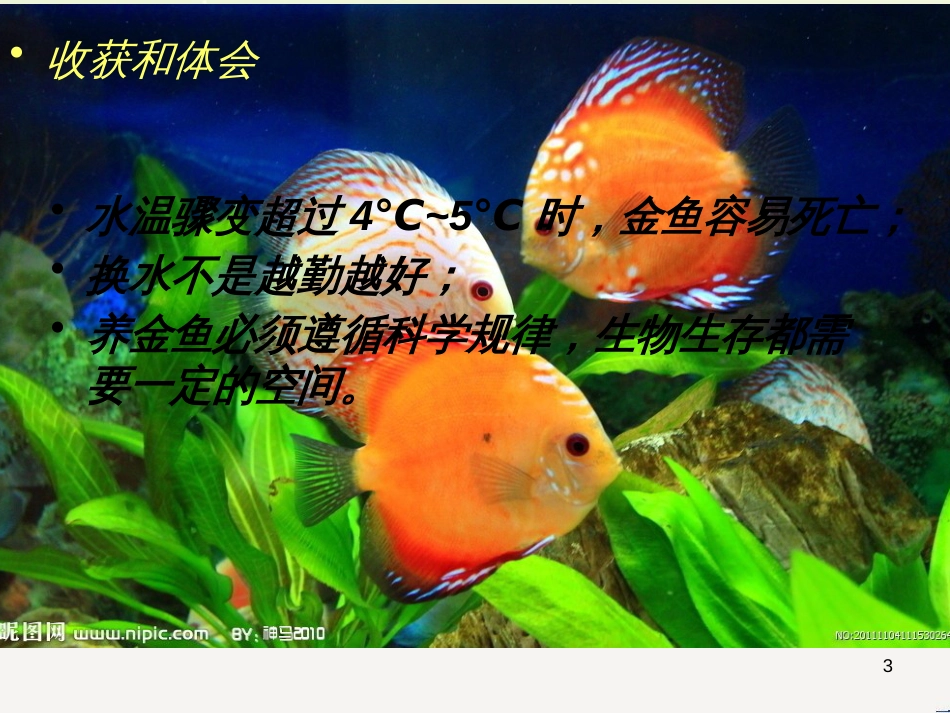 八年级生物下册 13.1 生物的分类课件1 北京版 (902)_第3页