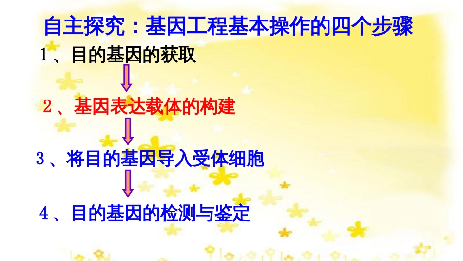 高中生物 专题1 基因工程 1.2 基因工程的基本操作程序课件 新人教版选修3_第2页