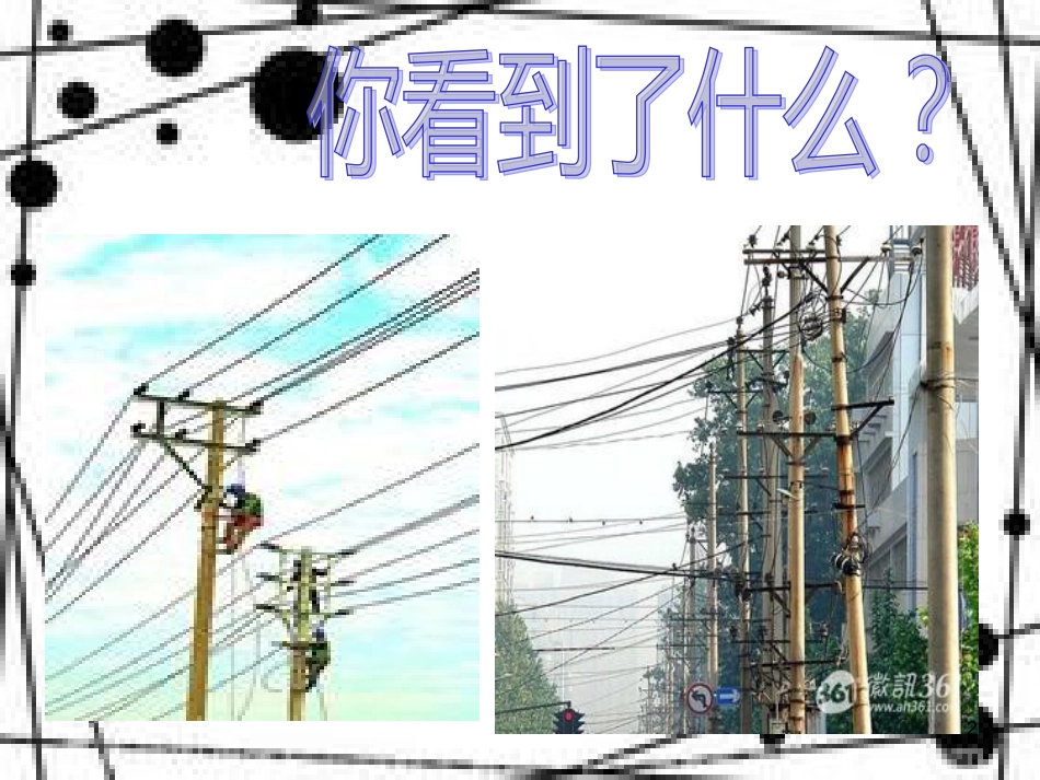 八年级生物下册 13.1 生物的分类课件1 北京版 (705)_第2页
