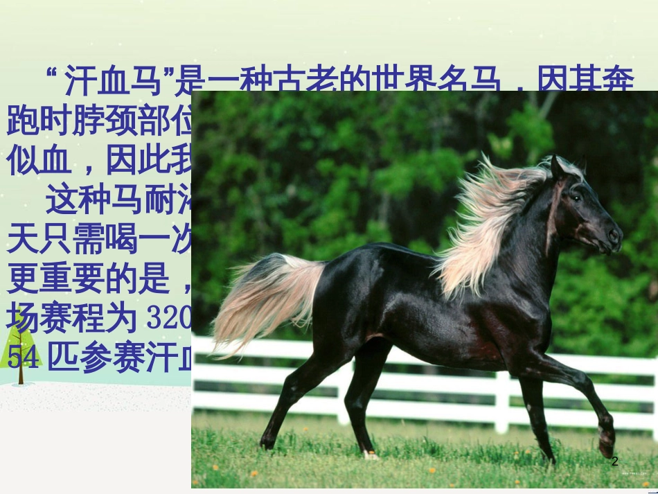 八年级物理上册 1.3《活动降落伞比赛》课件 （新版）教科版 (3052)_第2页
