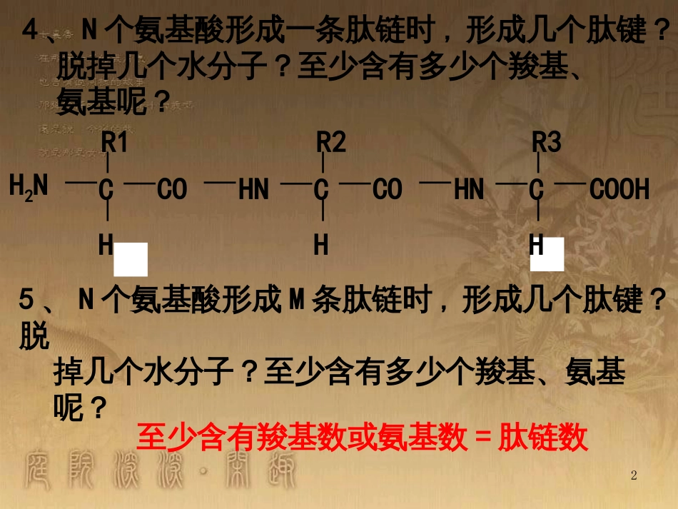 高中生物 5.4 色素提取课件（必修1） (13)_第2页