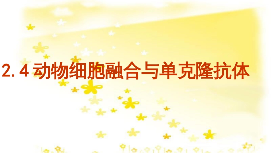 高中生物 专题2 动物细胞工程 2.4 动物细胞融合与单克隆抗体课件 新人教版选修3_第1页