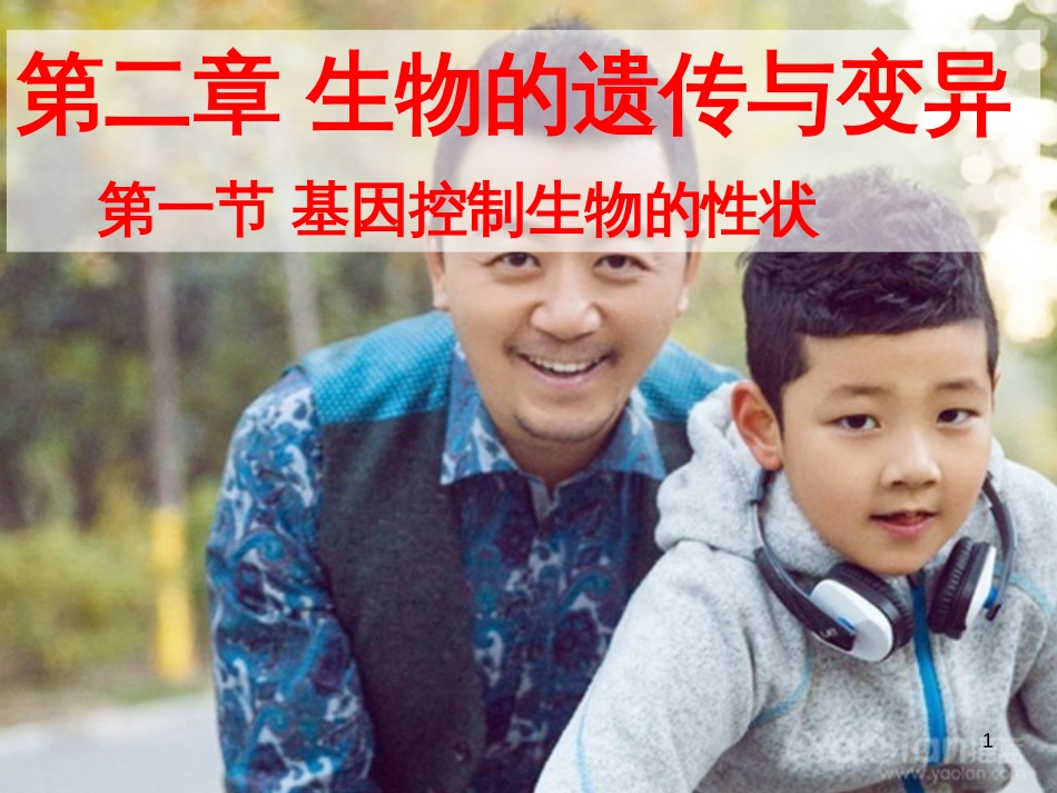 八年级生物下册 第七单元 第二章 第一节 基因控制生物的性状课件（2）（新版）新人教版_第1页