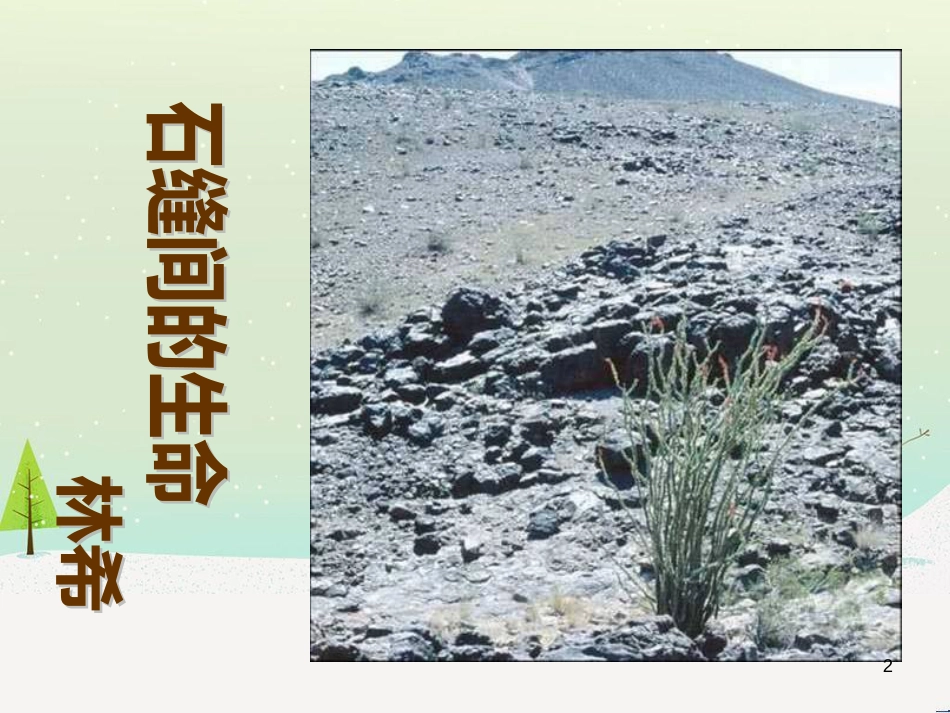 八年级物理上册 1.3《活动降落伞比赛》课件 （新版）教科版 (3121)_第2页