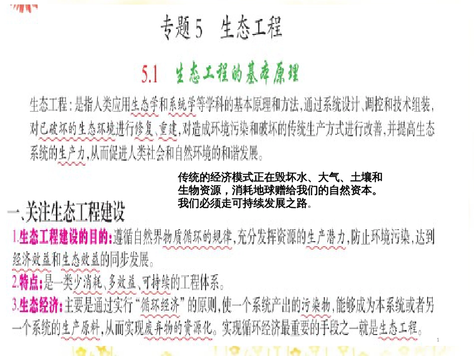 高中生物 专题5 生态工程课件 新人教版选修3_第1页
