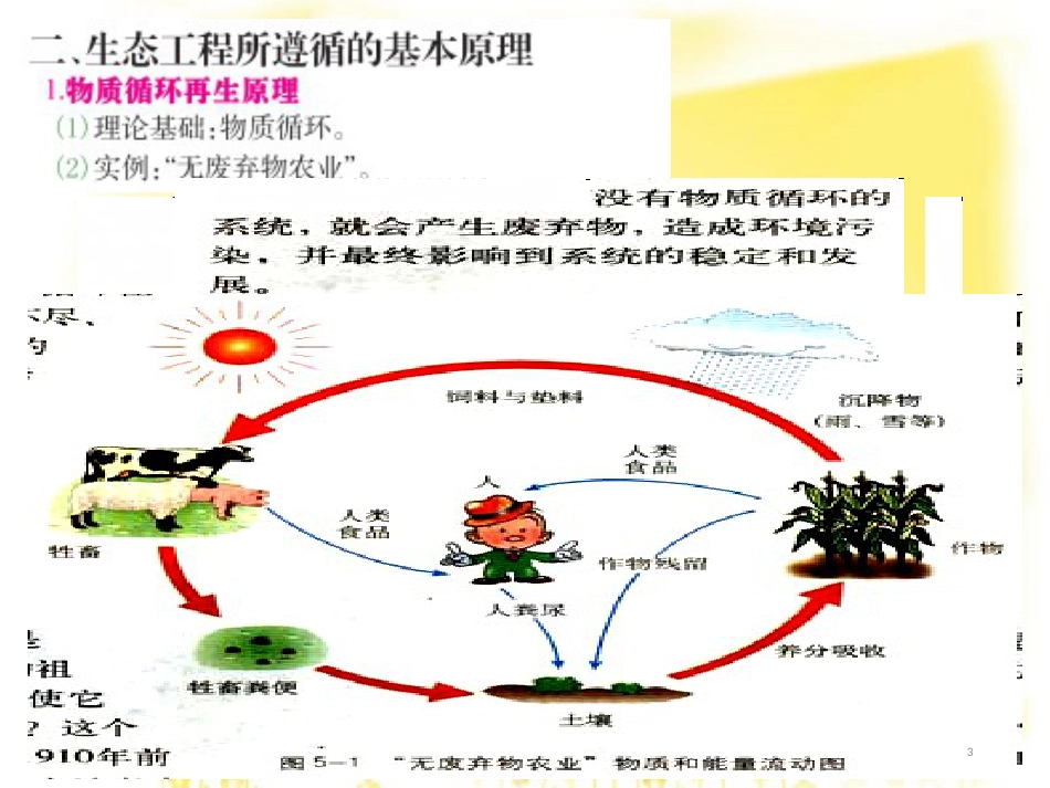 高中生物 专题5 生态工程课件 新人教版选修3_第3页