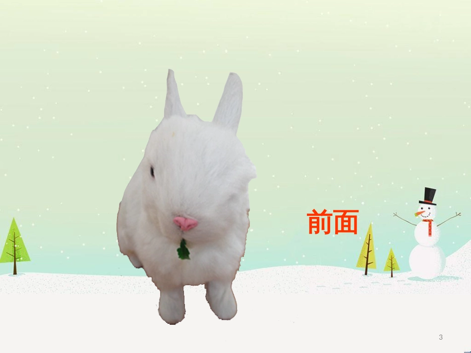 八年级生物下册 13.1 生物的分类课件1 北京版 (266)_第3页