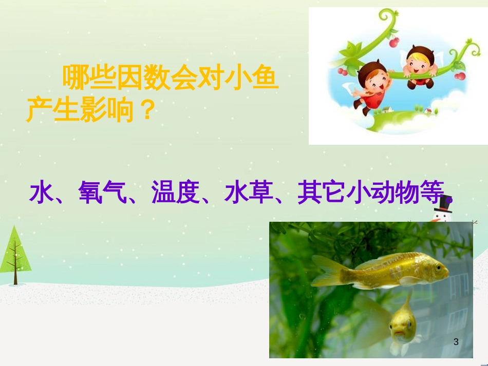 八年级生物下册 13.1 生物的分类课件1 北京版 (697)_第3页