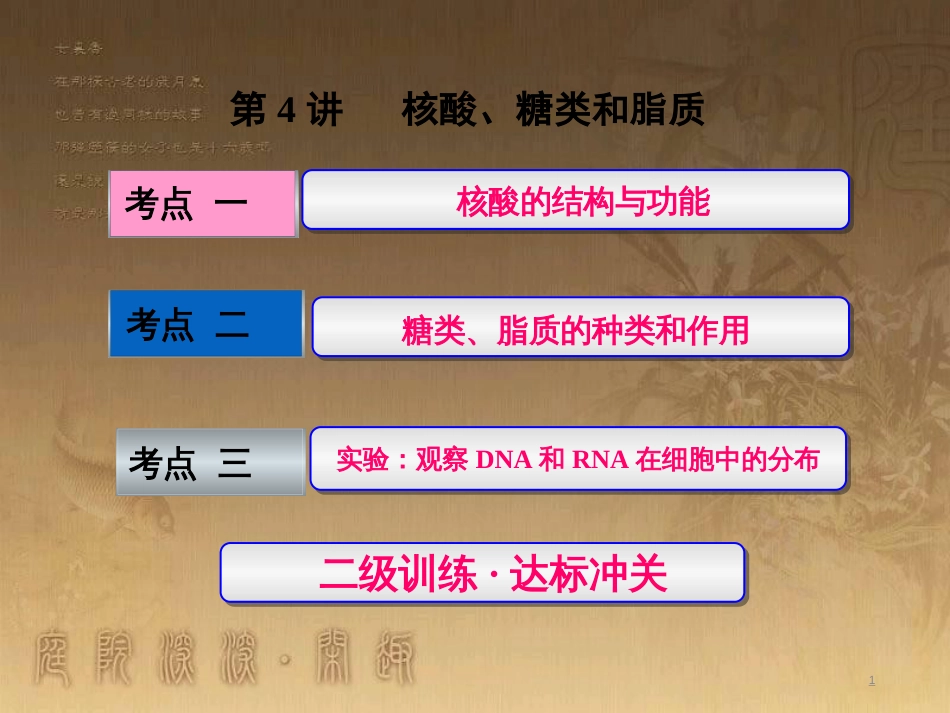 高考生物一轮复习 第二单元 基因的本质与表达 第1讲 DNA是主要的遗传物质课件（必修2） (14)_第1页