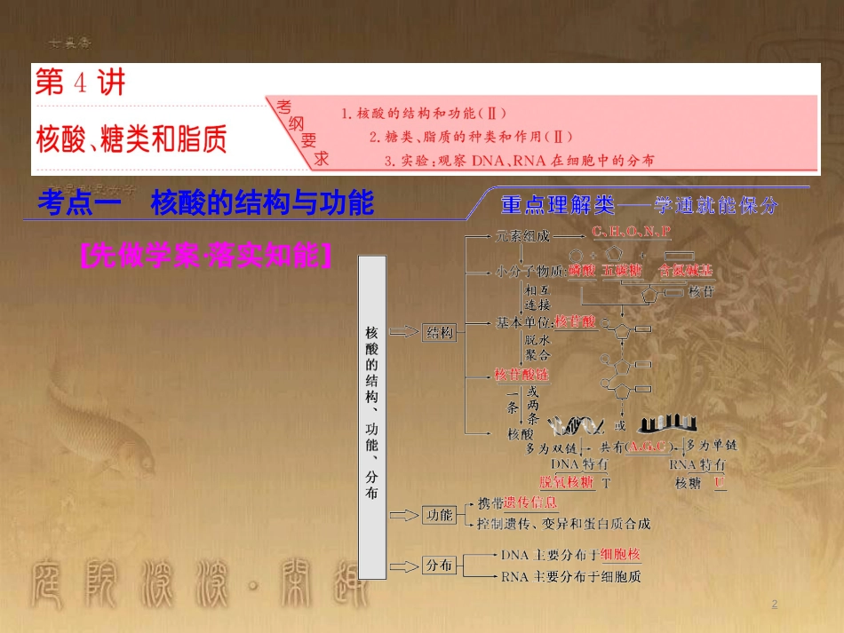 高考生物一轮复习 第二单元 基因的本质与表达 第1讲 DNA是主要的遗传物质课件（必修2） (14)_第2页