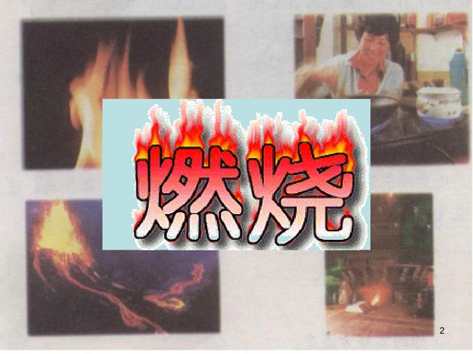 八年级生物下册 13.1 生物的分类课件1 北京版 (419)_第2页