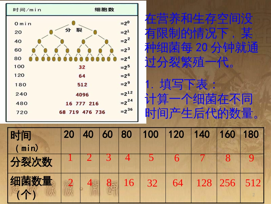 高中生物 第五章 基因突变及其他变异 5.3 人类遗传病课件 新人教版必修2 (88)_第2页