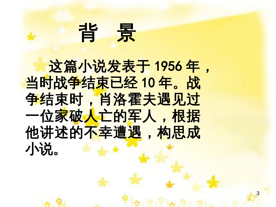 高中语文 第二专题《一个人的遭遇 》课件 苏教版必修2_第3页
