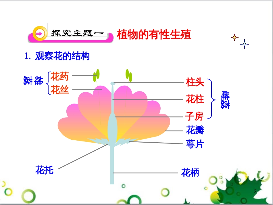 八年级生物下册 7.1.1 植物的生殖课件2 （新版）新人教版_第3页