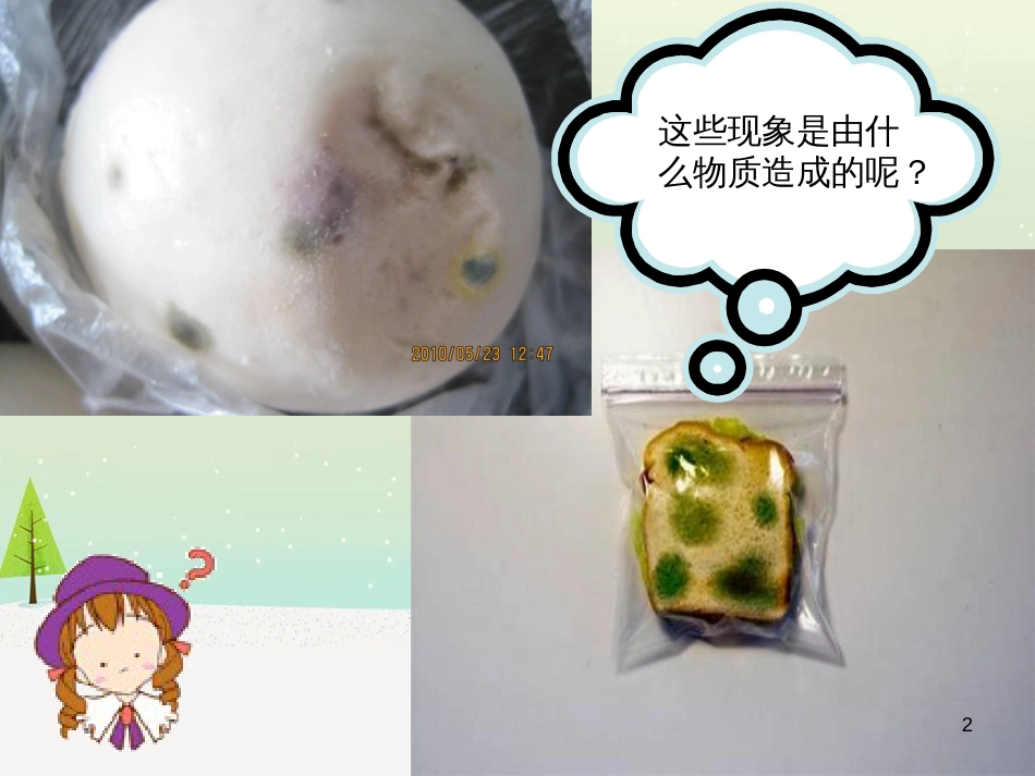 八年级生物上册 18.1《微生物在生物圈中的作用》课件1 （新版）北师大版_第2页