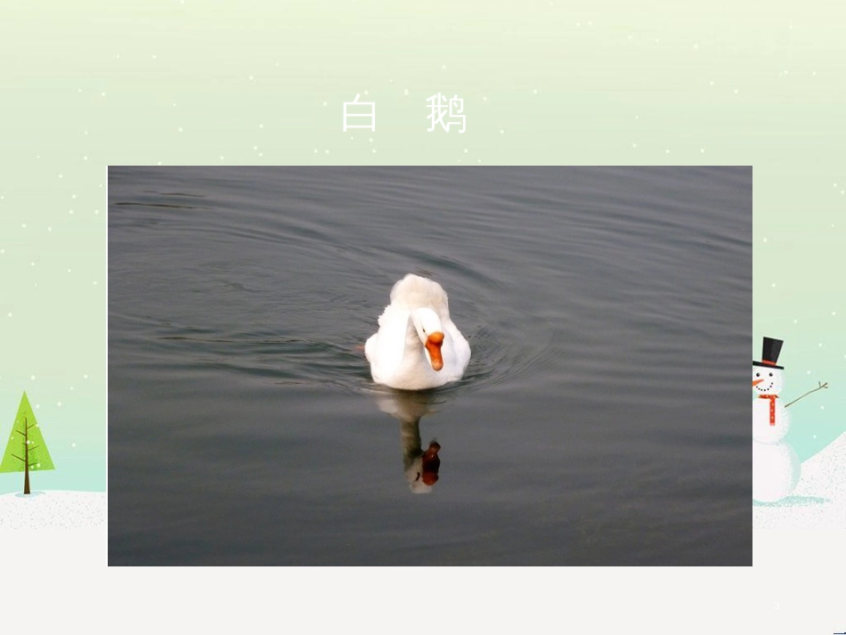 八年级生物下册 13.1 生物的分类课件1 北京版 (754)_第3页