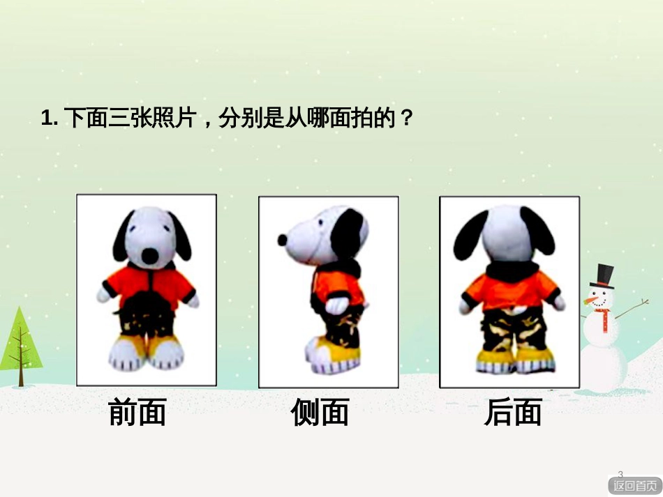 八年级生物下册 13.1 生物的分类课件1 北京版 (267)_第3页