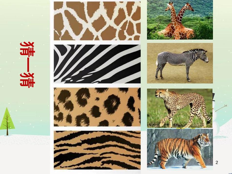 八年级生物下册 13.1 生物的分类课件1 北京版 (669)_第2页