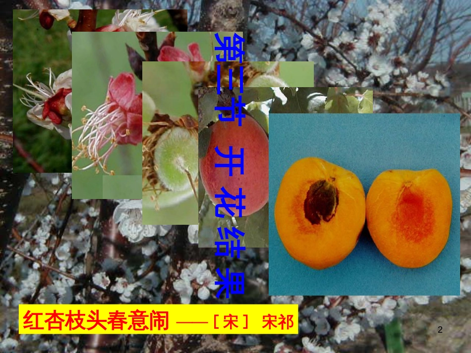 八年级物理上册 1.3《活动降落伞比赛》课件 （新版）教科版 (206)_第2页