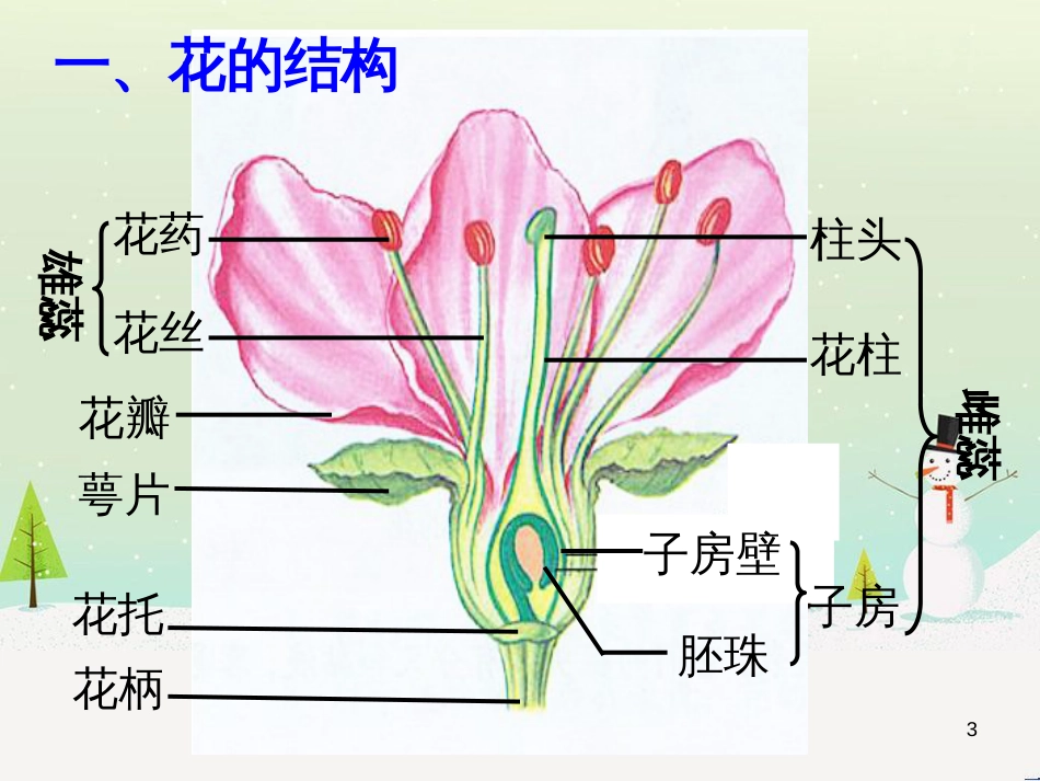 八年级物理上册 1.3《活动降落伞比赛》课件 （新版）教科版 (206)_第3页