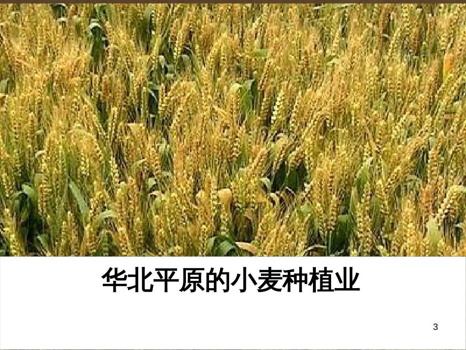 高中地理 复习纲要课件 新人教版必修1 (10)_第3页