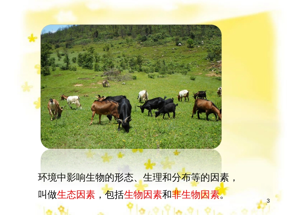 八年级生物下册 第七单元 第一章 第一节 环境对生物的影响课件1 （新版）冀教版_第3页