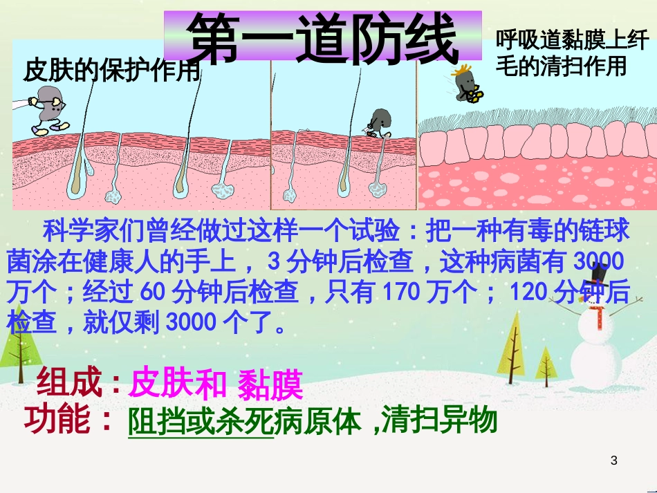 八年级生物下册 13.1 生物的分类课件1 北京版 (1291)_第3页