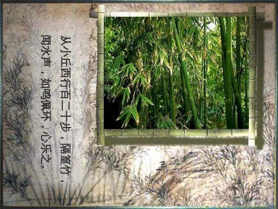 八年级物理上册 1.3《活动降落伞比赛》课件 （新版）教科版 (56)_第1页