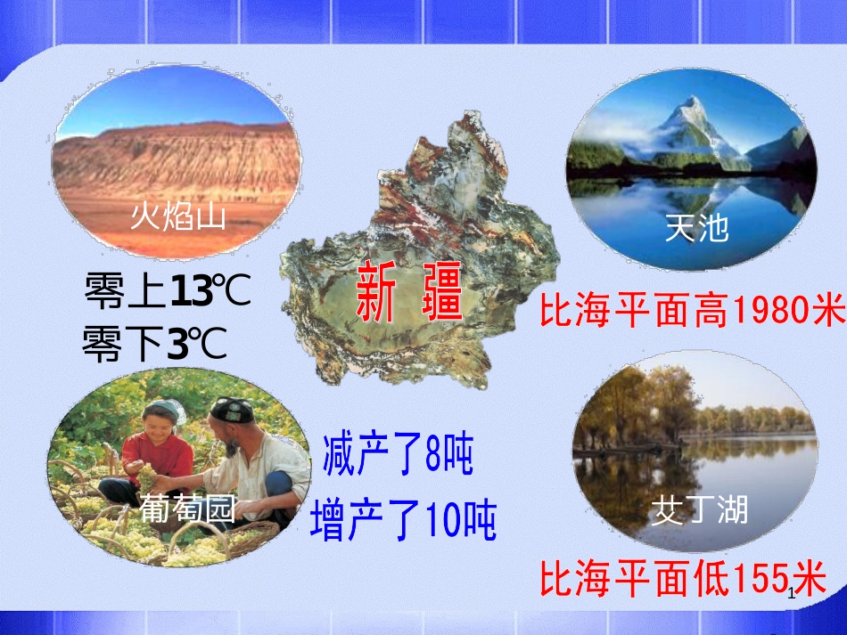 八年级生物下册 13.1 生物的分类课件1 北京版 (63)_第1页