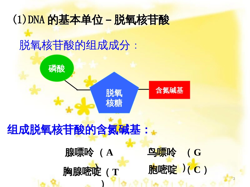 高中生物 第三章 基因的本质 3.2.2 DNA分子的结构教学课件 新人教版必修2_第3页