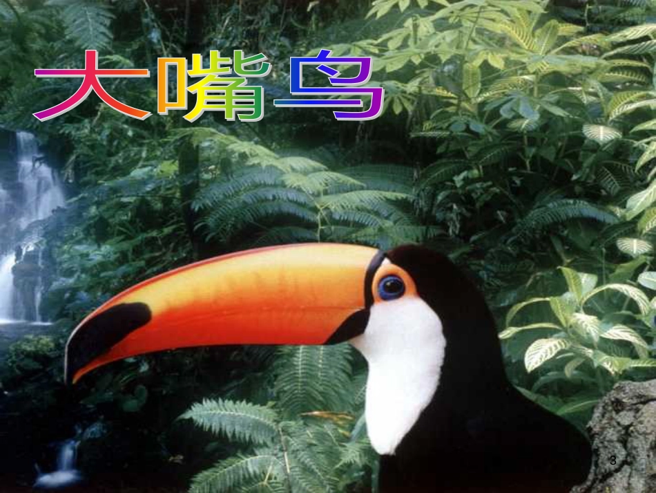 八年级生物下册 13.1 生物的分类课件1 北京版 (1241)_第3页