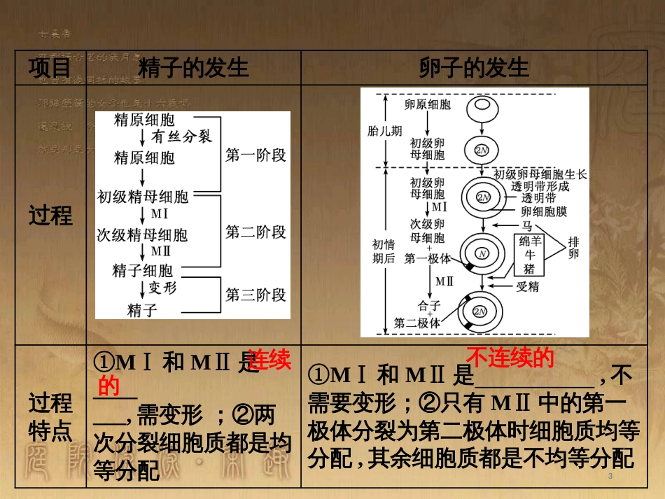 高考生物一轮复习 第二单元 基因的本质与表达 第1讲 DNA是主要的遗传物质课件（必修2） (3)_第3页