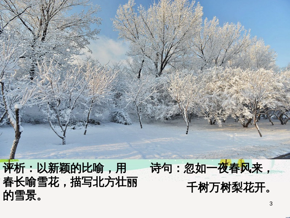 八年级物理上册 1.3《活动降落伞比赛》课件 （新版）教科版 (604)_第3页