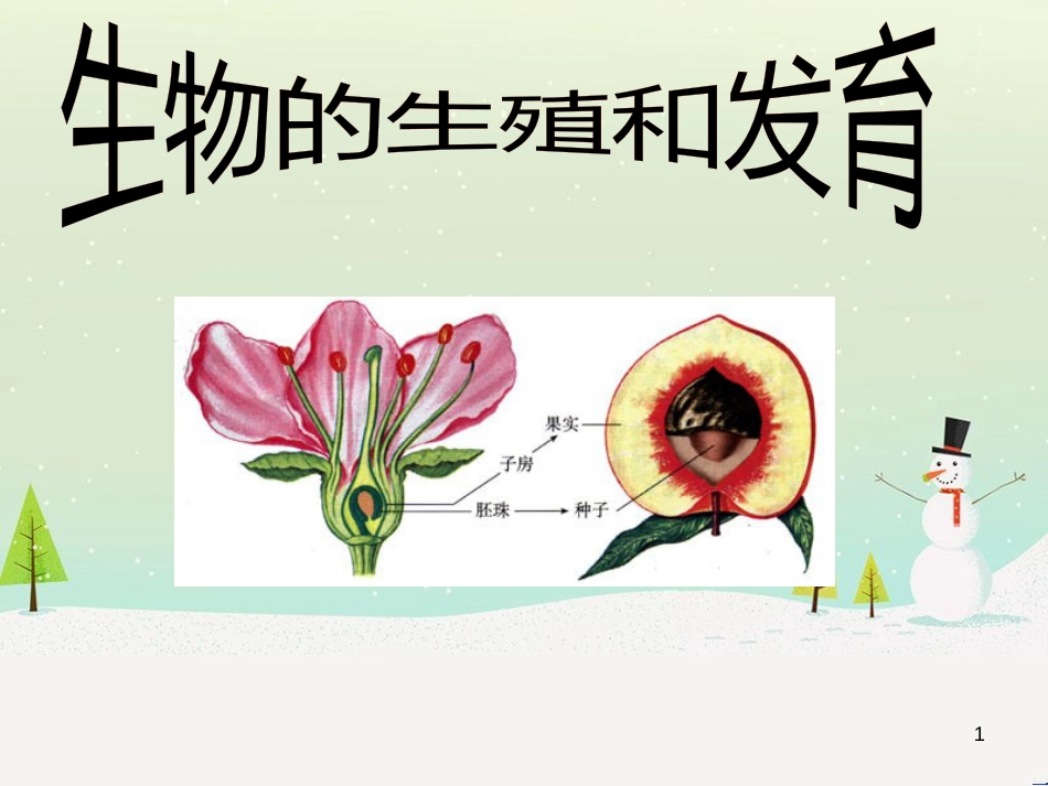 八年级生物上册 生物的生殖和发育复习课件 济南版_第1页