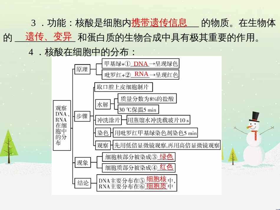 高考地理 技法点拨——气候 1 (606)_第3页