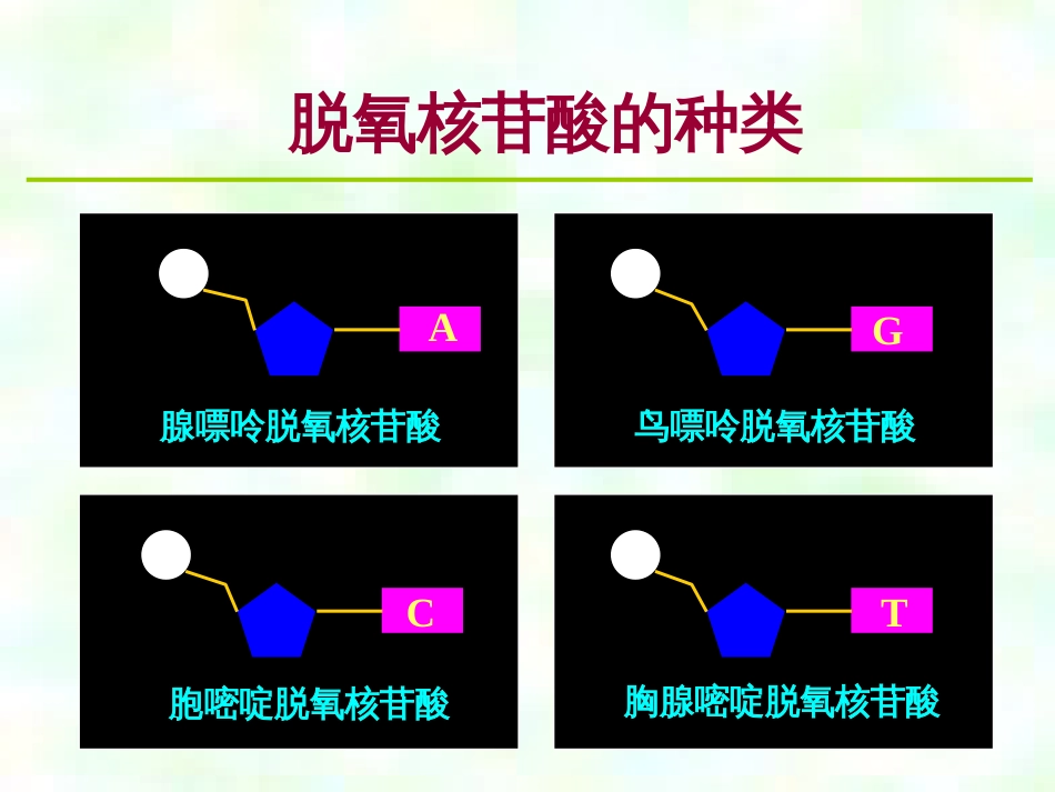 高中生物 5.2 染色体变异课件 新人教版必修2 (5)_第3页