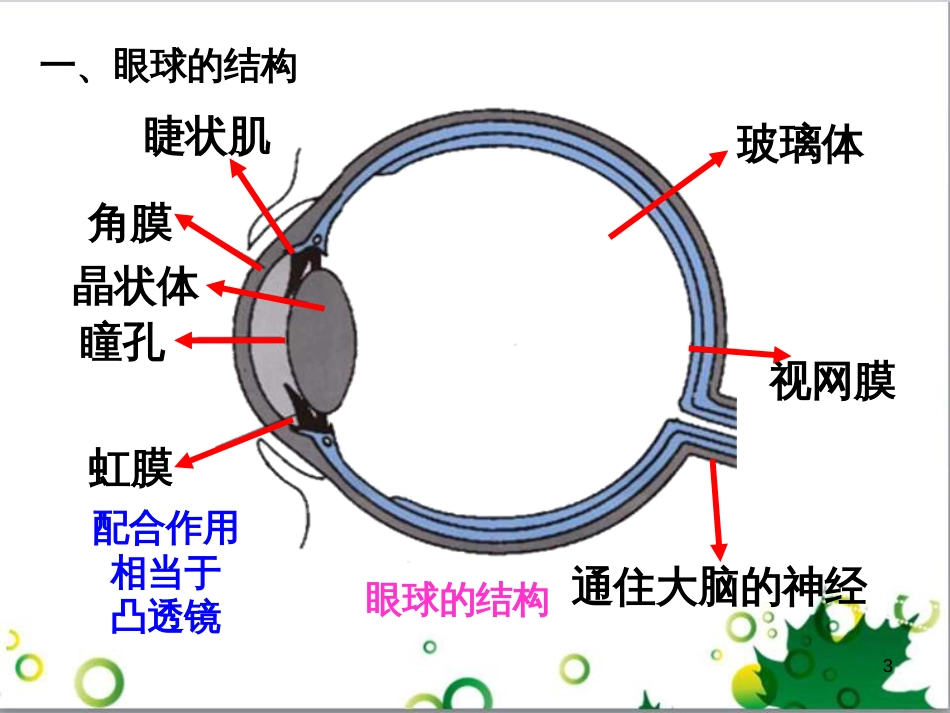 八年级英语上册 Module 12 Help主题写作课件 （新版）外研版 (234)_第3页