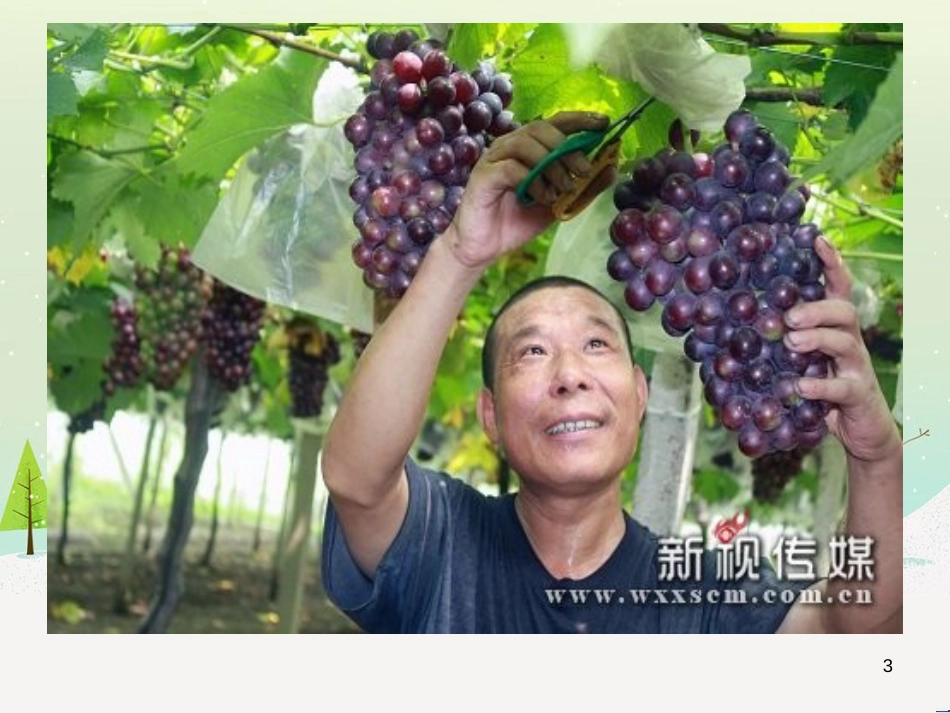 八年级生物下册 13.1 生物的分类课件1 北京版 (449)_第3页